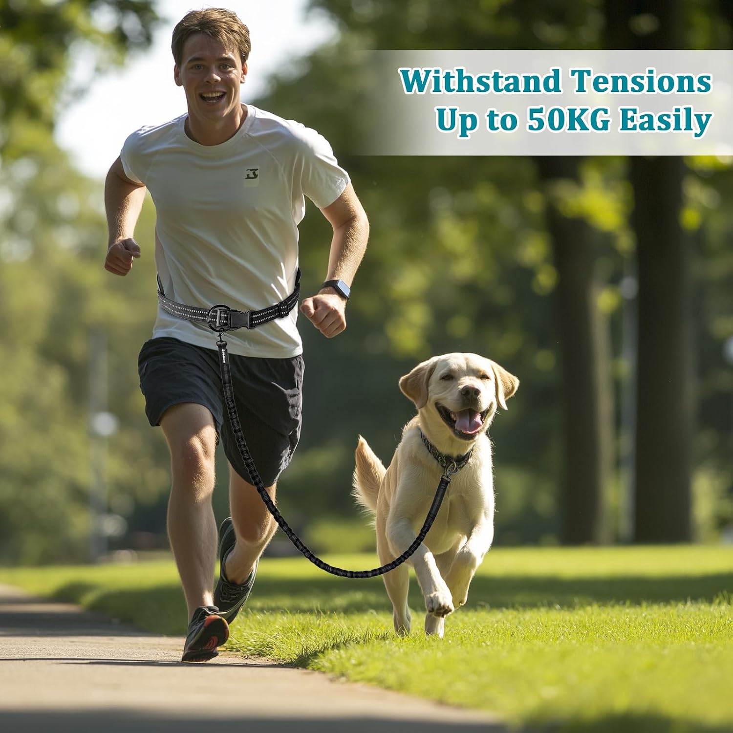 Thumbnail 6 de Philorn Heavy Hands Free Dog Lead with Wide Waist Belt – Dual Handles, 50kg Shock Absorbing Bungee, Reflective for Medium to Large Dogs