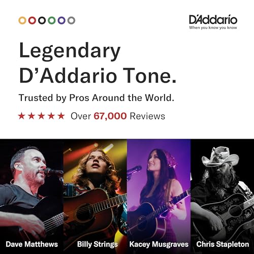 Detalle de D'Addario EJ16 Phosphor Bronze Acoustic Guitar Strings, Light 12-53 Set