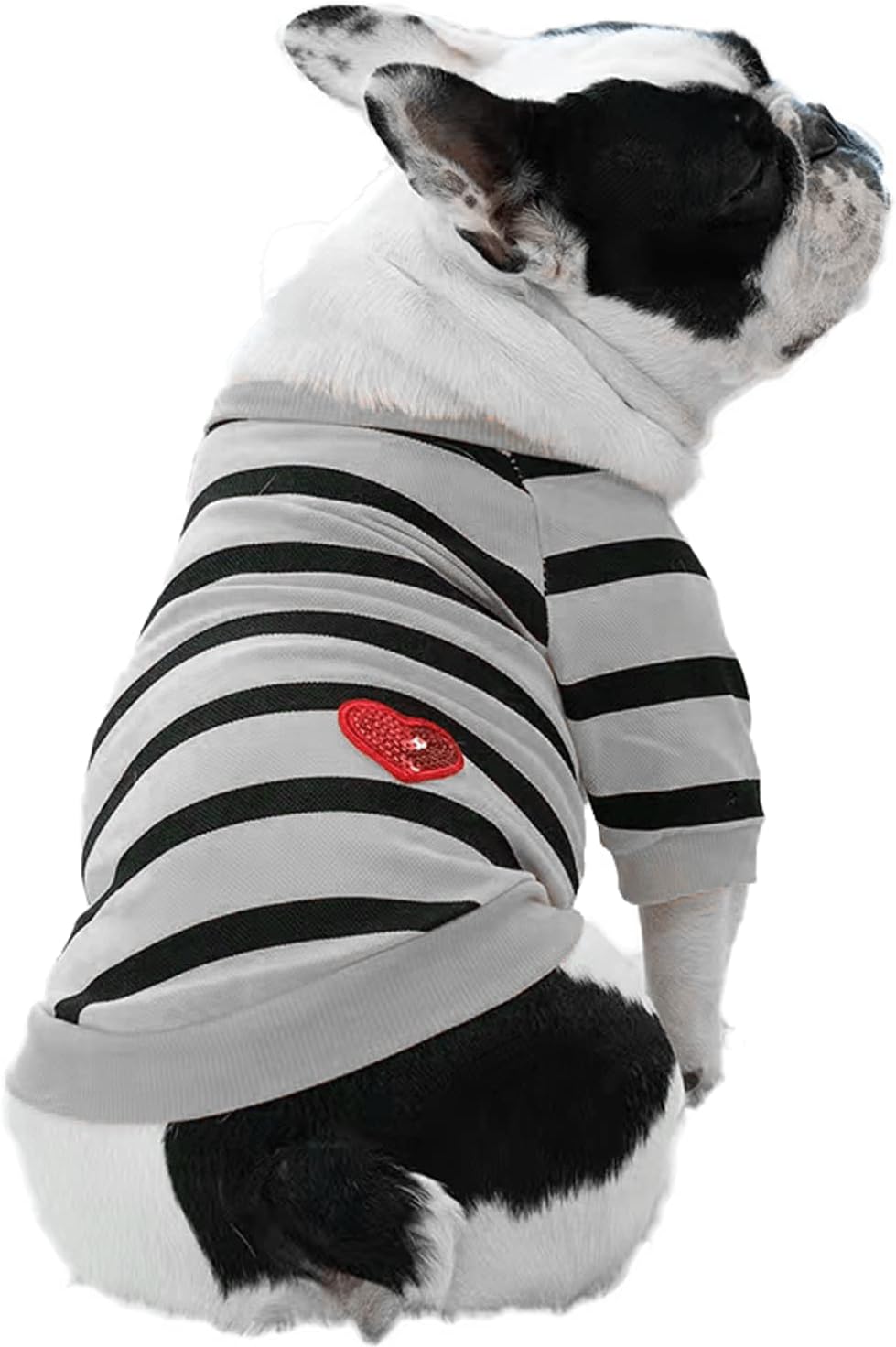 Thumbnail 6 de Dog Sweater in XL