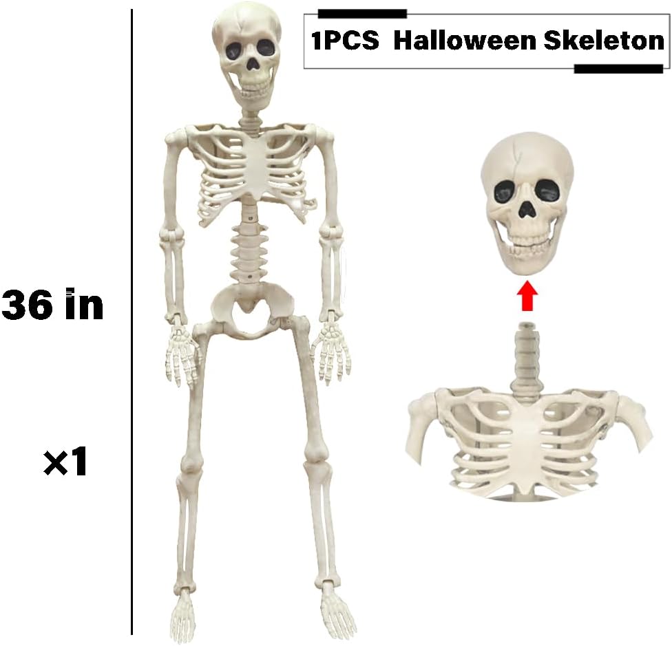 Detalle de WODMAZ ZW-LXWSJGJ 3-Foot Posable Plastic Skeleton Halloween Decoration