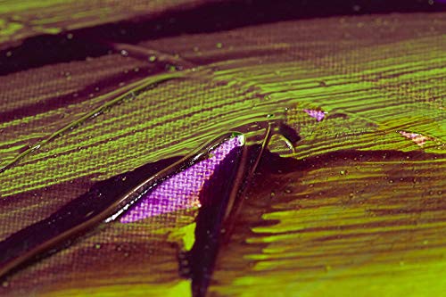 Thumbnail 3 de Liquitex Additif Médium pour glacis 237ml