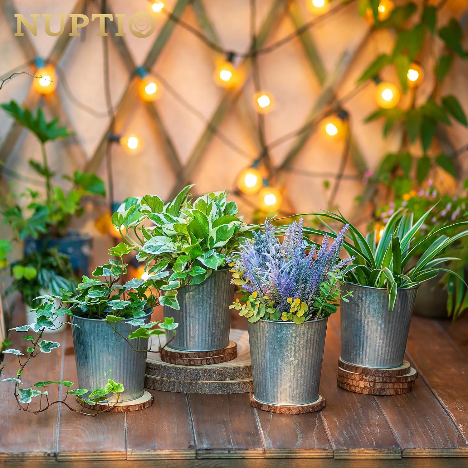 Detalle de NUPTIO 13 cm Rustic Metal Planters 12 Pack
