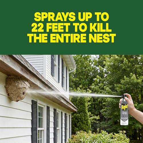 Detalle de Raid Wasp & Hornet Killer Spray — 2-Pack, 14 oz Each (Kills Entire Nest)
