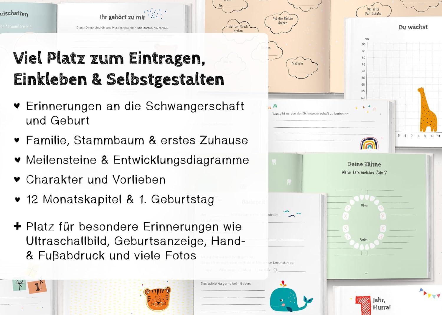 Thumbnail 3 de Babyalbum Unser erstes Jahr – Farbenfrohes Erinnerungsbuch fürs erste Lebensjahr