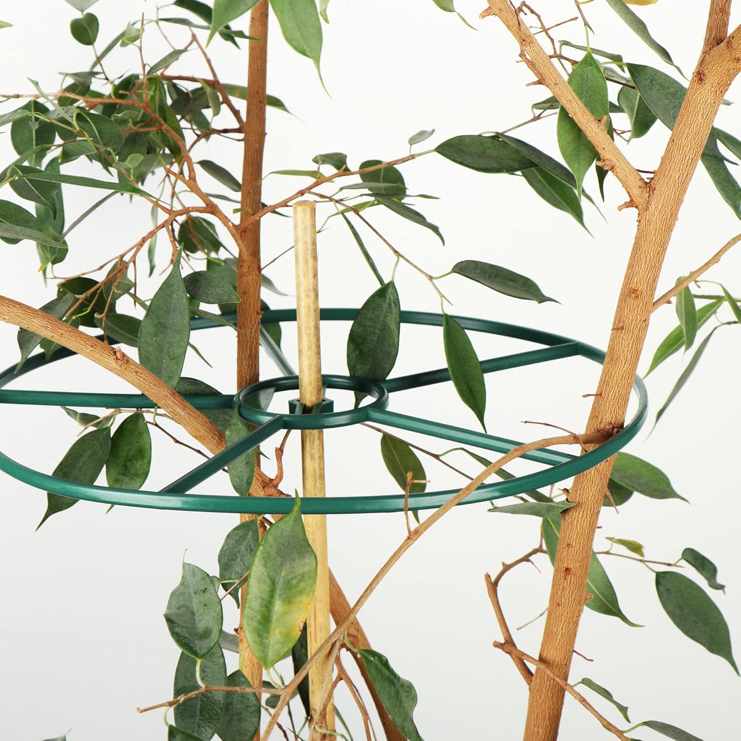 Detalle 2 de COM-FOUR Soporte para plantas 29,5/39 cm 6 unidades