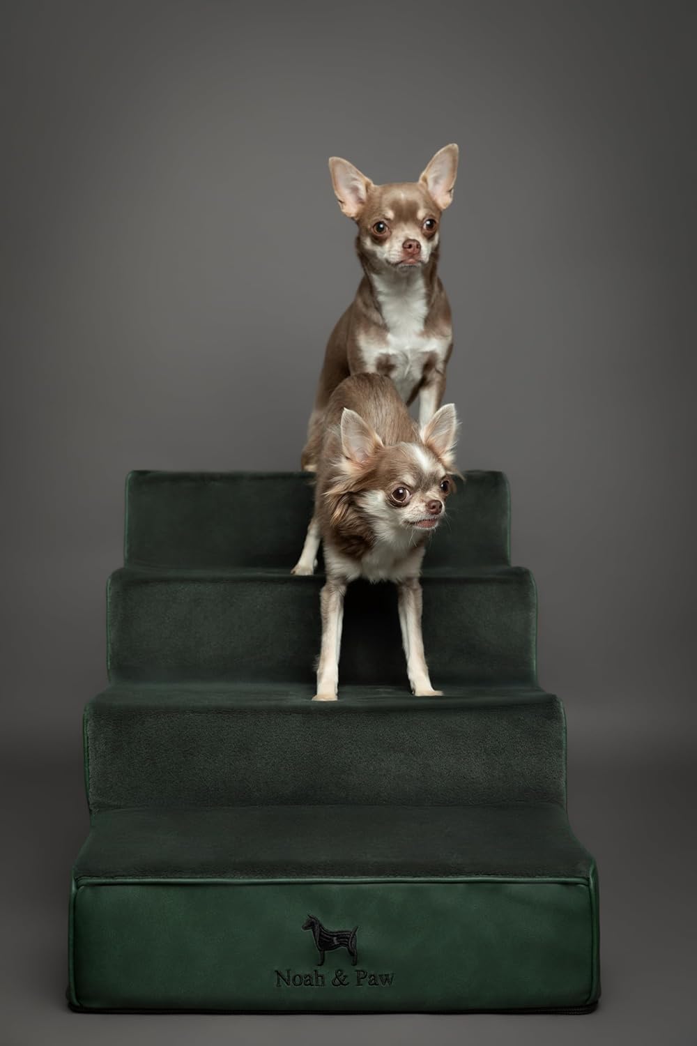 Thumbnail 5 de Noah & Paw Dog Stairs Leather Collection: 17" Extra-Wide 4-Step Dog Ramp for High Beds