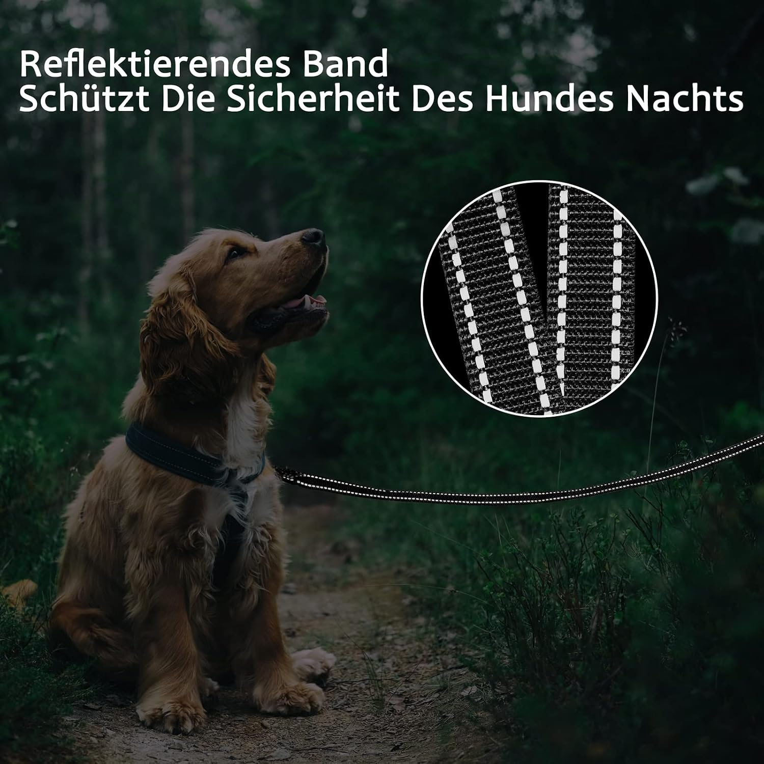 Thumbnail 4 de Demigreat Schleppleine für Hunde 20 m