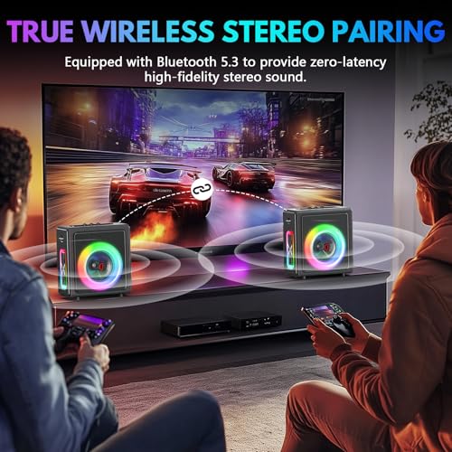 Detalle de PPMIC MS75 Karaoke Machine for Adults with 2 Wireless Microphones