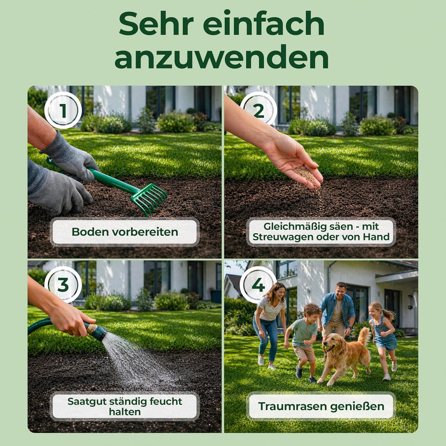Thumbnail 6 de Schattenrasen Rasensamen 1 kg – dichte Grasmischung für schattige Flächen