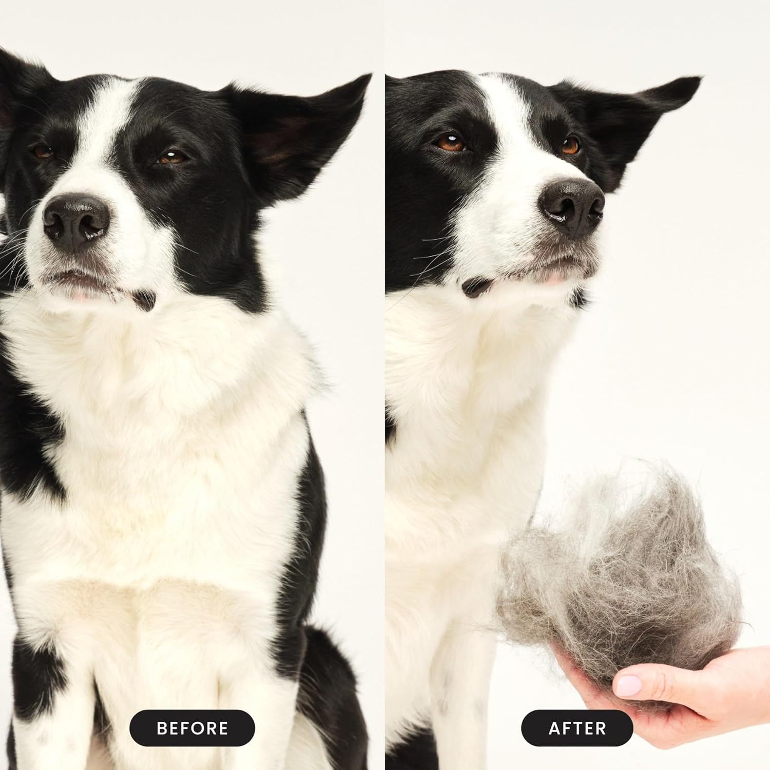 Detalle de Tangle Teezer Piccolo Pet Teezer: spazzola zoom per cani di taglia piccola