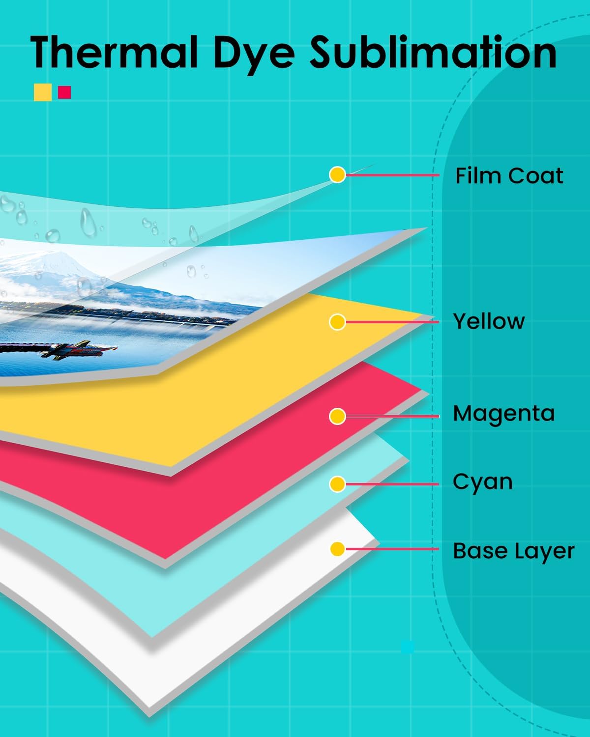 Detalle 2 de COLORTY 4x6 Photo Paper and Ink Refill, 160 Sheets, 4 Cartridges