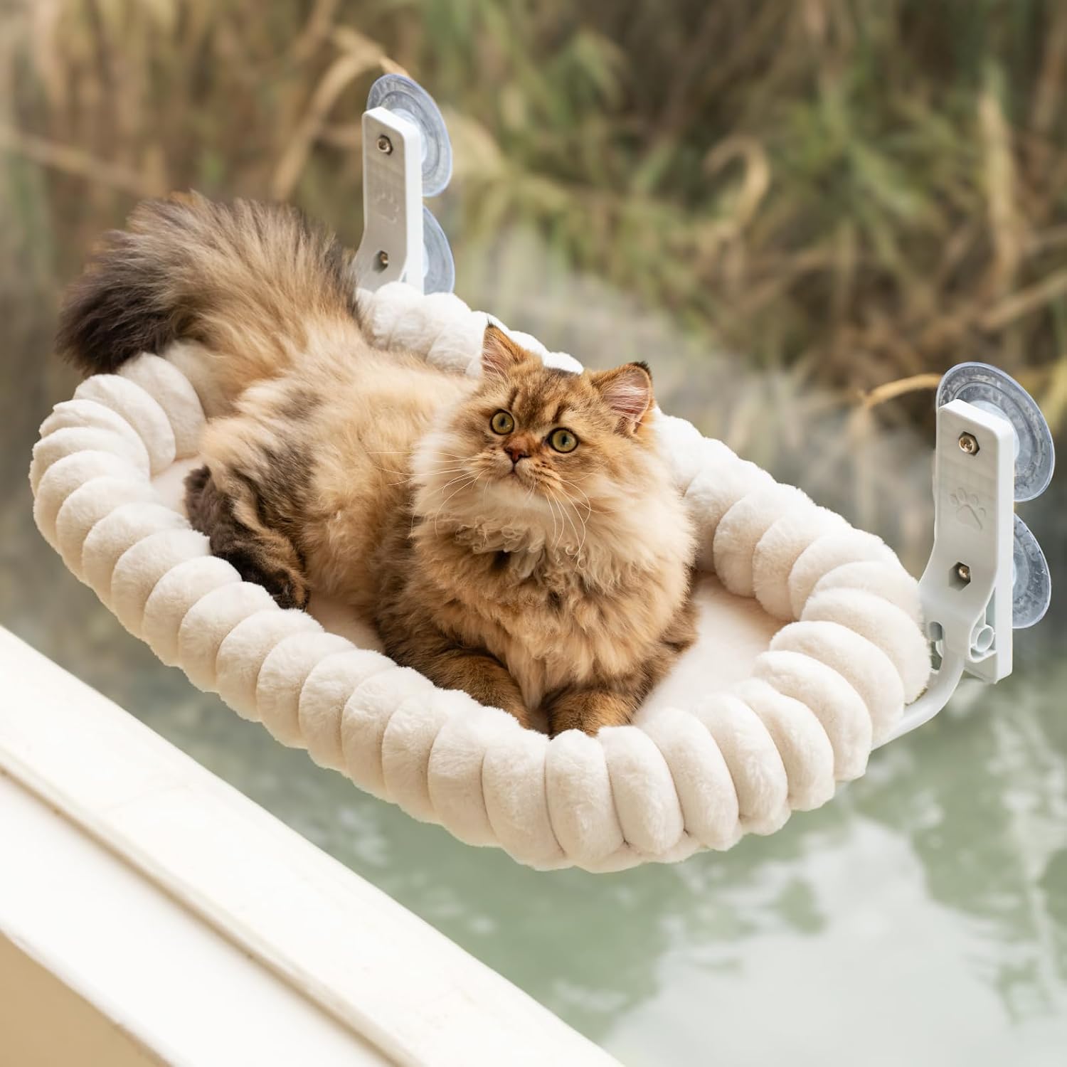 Detalle de EDAGNY Katzen Fensterliege Hängematte – Weich mit abnehmbarem Wendebezug, bis 18 kg, Creme