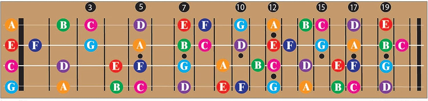 Detalle de QMG Ukulele Fretboard Note Chart