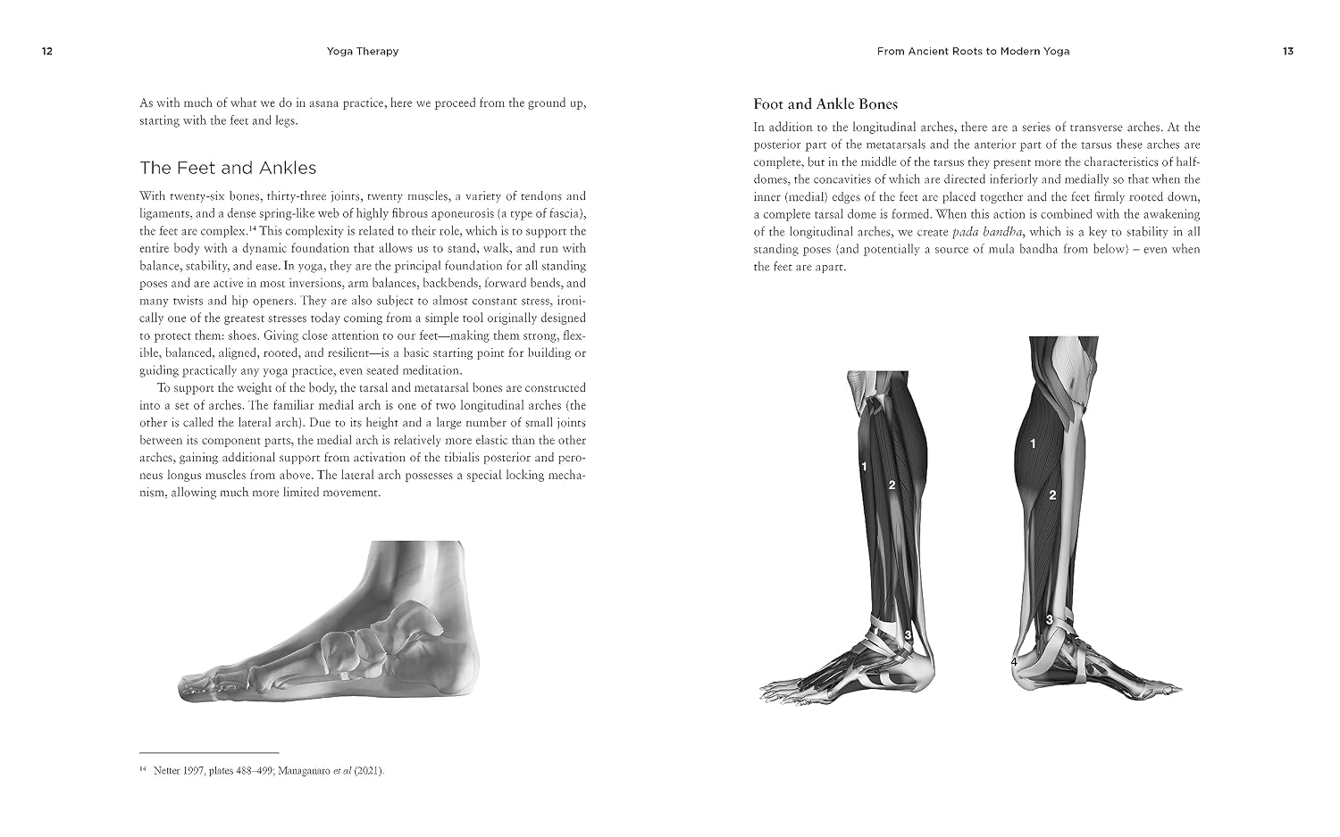Detalle 1 de Teaching Yoga, Second Edition – podręcznik jogi dla nauczycieli i trenerów