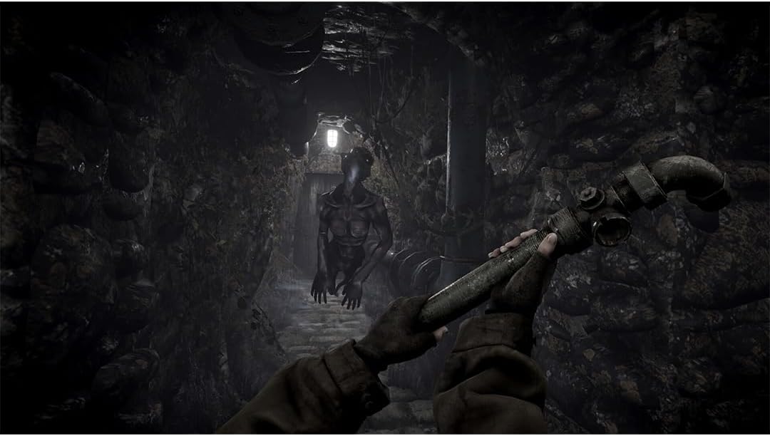 Detalle de Total Chaos sur PS5 – immersion et survie dans Fort Oasis