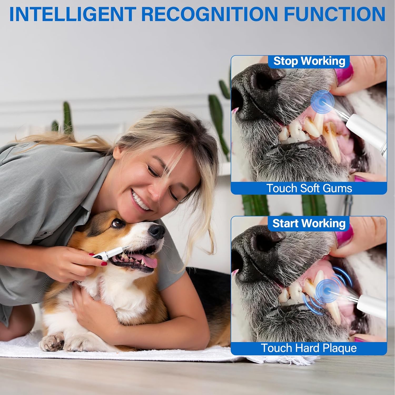 Thumbnail 4 de Collazoey Kit Pulizia Denti per Cani e Gatti con spazzolino a ultrasuoni 5 modalità e LED