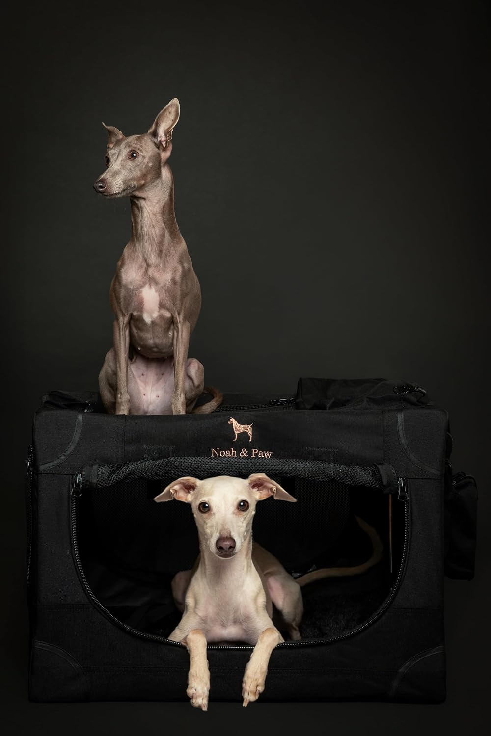 Thumbnail 1 de Noah & Paw 26 Inch collapsible dog crate