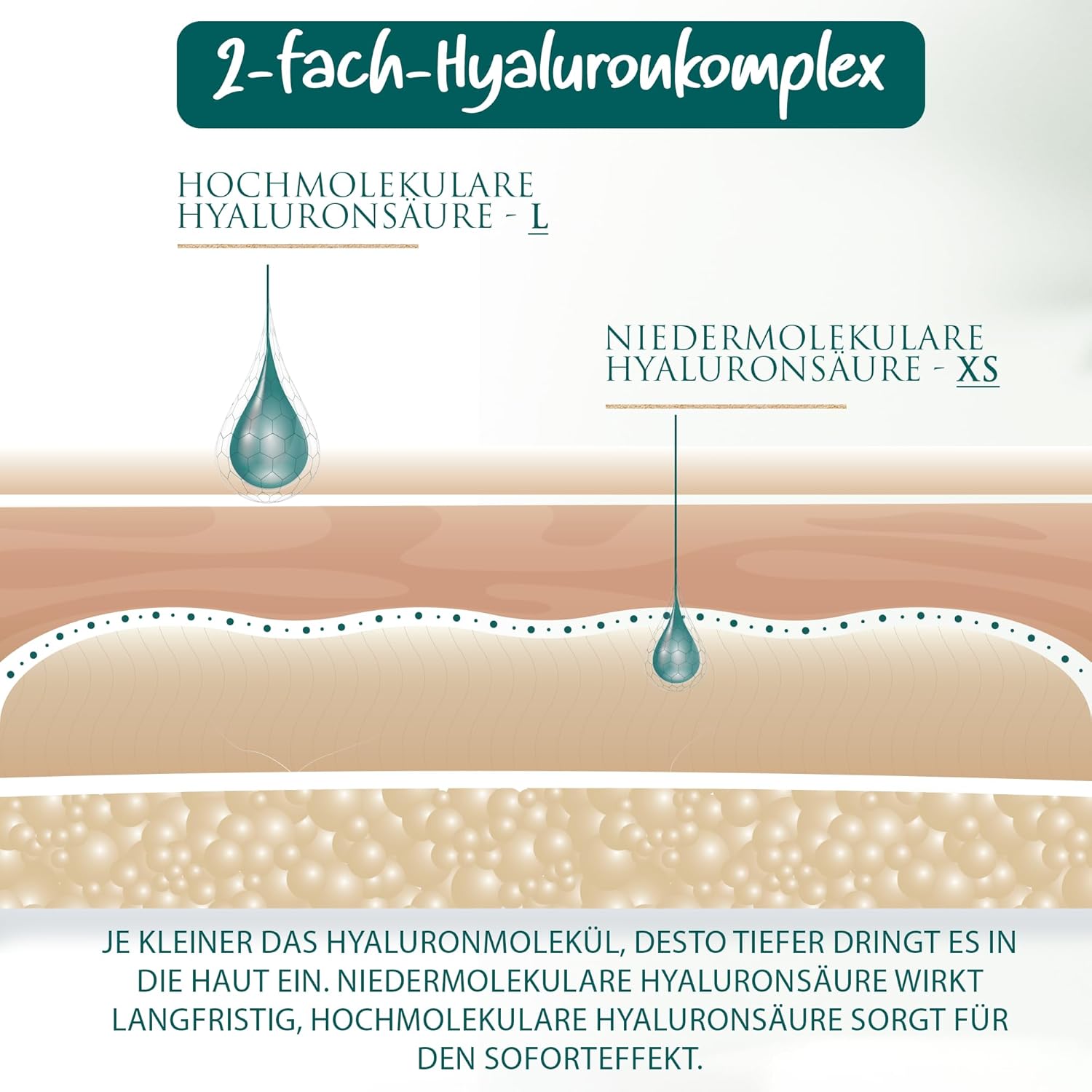 Detalle 2 de BIO HYALURON CREME 100ml