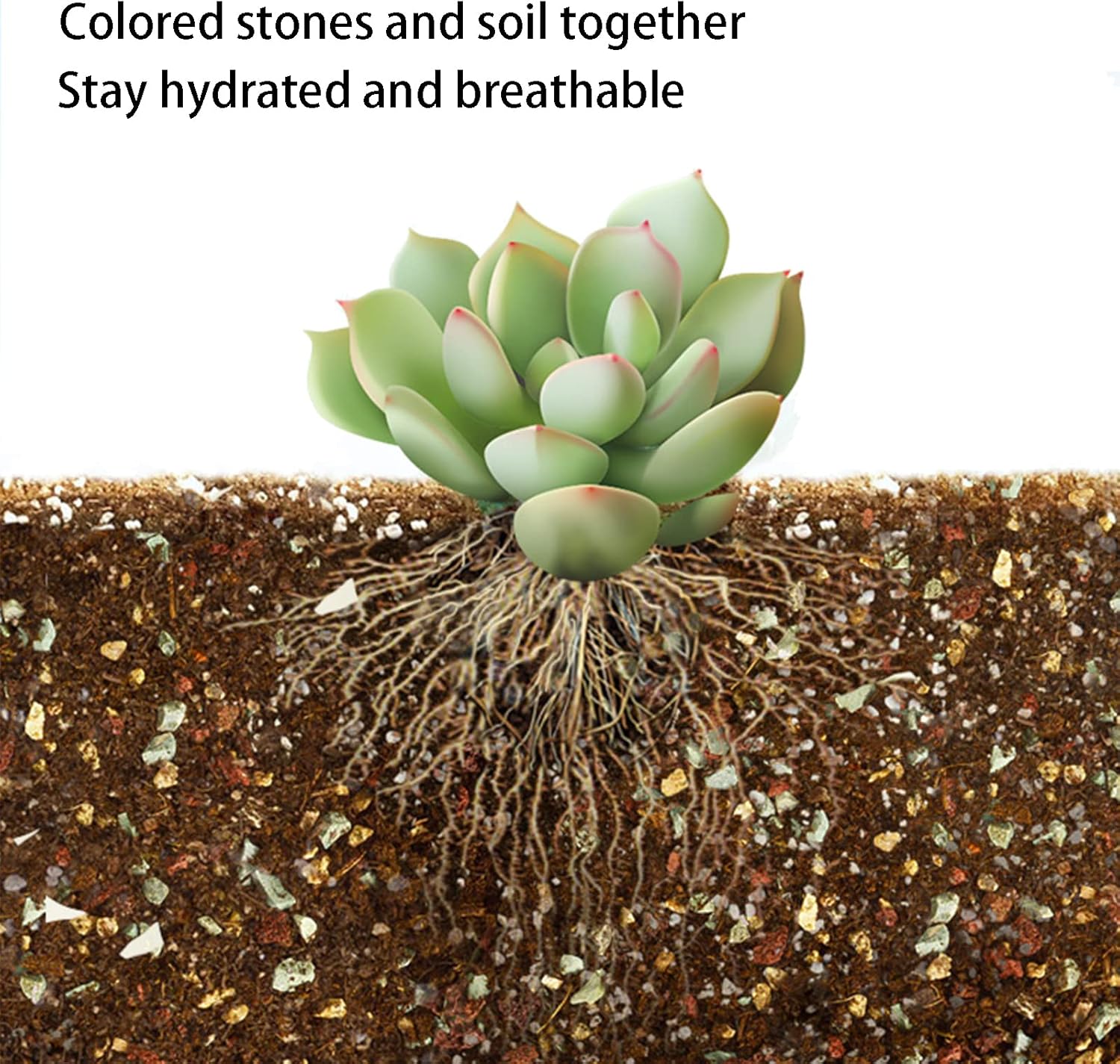 Thumbnail 2 de YUNSTK Mix Horticultural Lava Rock: Colourful Top Dress for Drainage and Decor