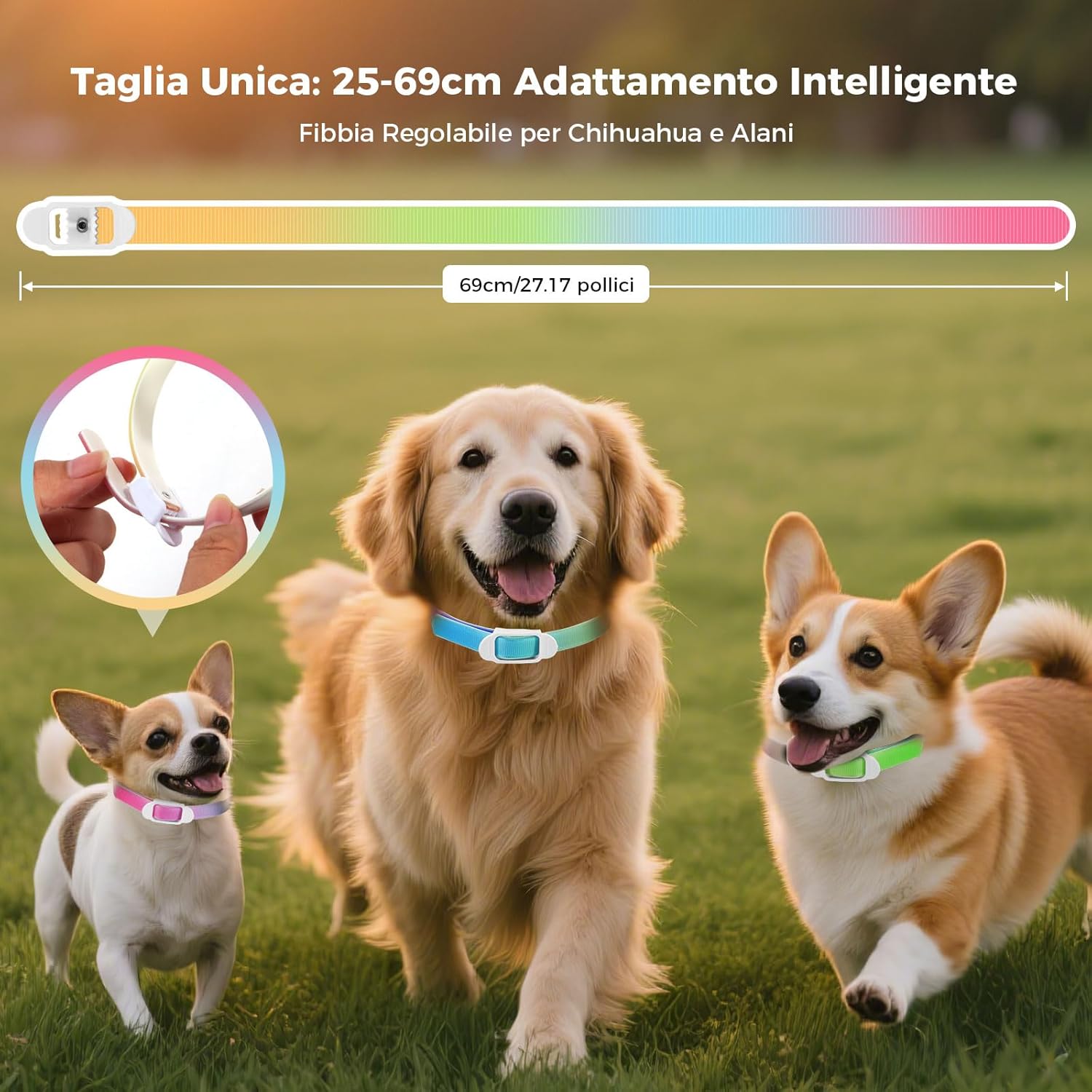 Detalle de Collare antiparassitario per cani 69 cm: impermeabile, regolabile e con uso consigliato di 8 mesi