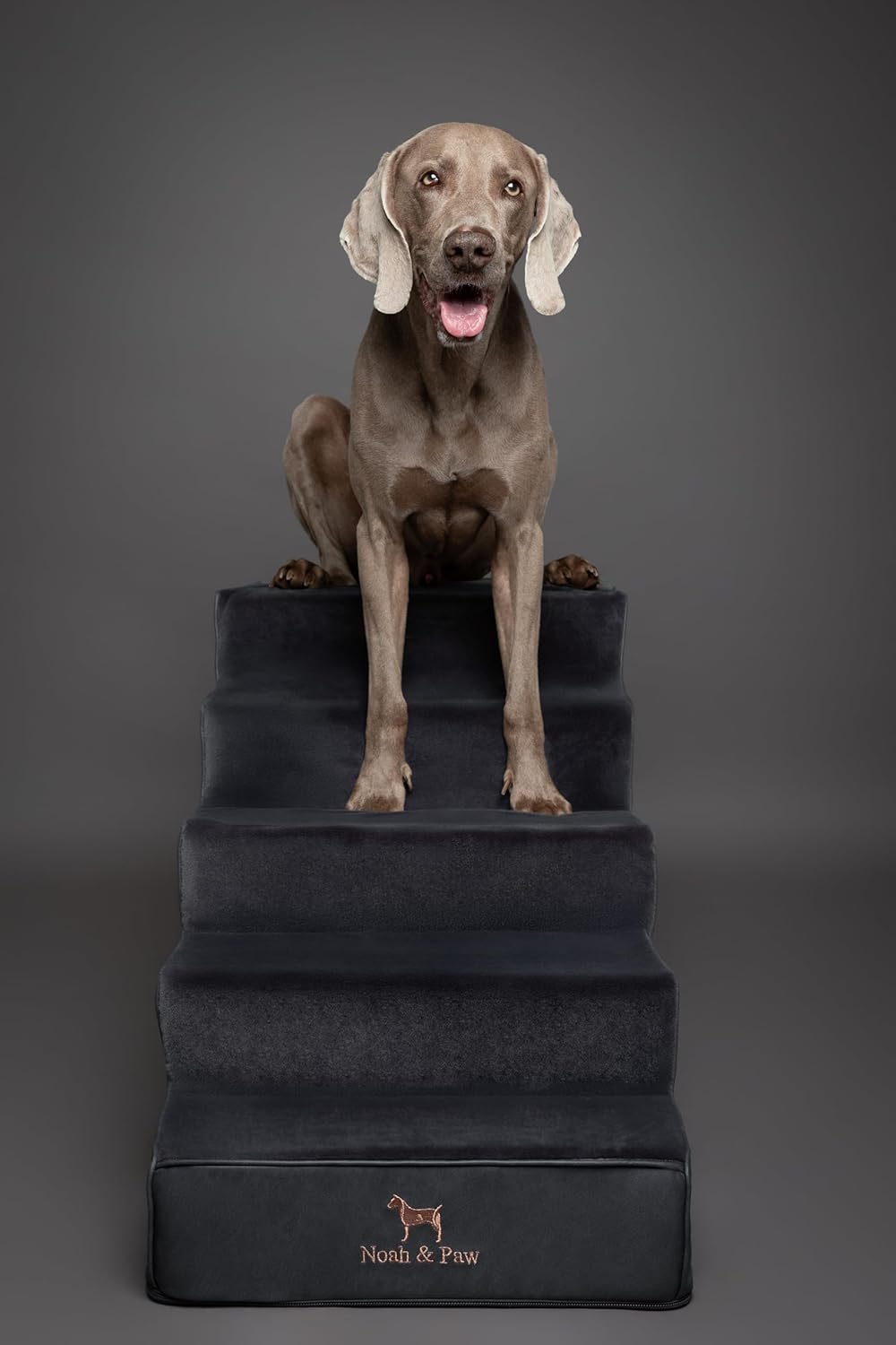 Thumbnail 4 de Noah & Paw Dog Stairs Leather Collection: 5-step Bed Ramp (20" Extra Wide) for All Breeds