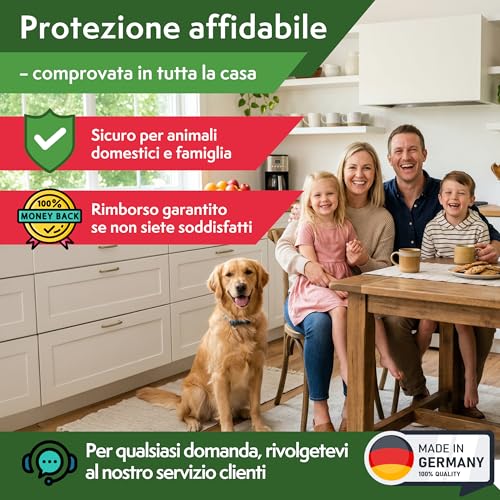 Detalle de Pattler Trappola Pesciolini d'Argento con Finestre di Controllo – 12 Pezzi