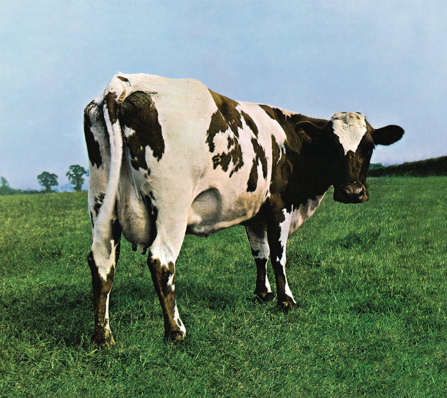 Detalle de Atom Heart Mother by LEGACY RECORDINGS