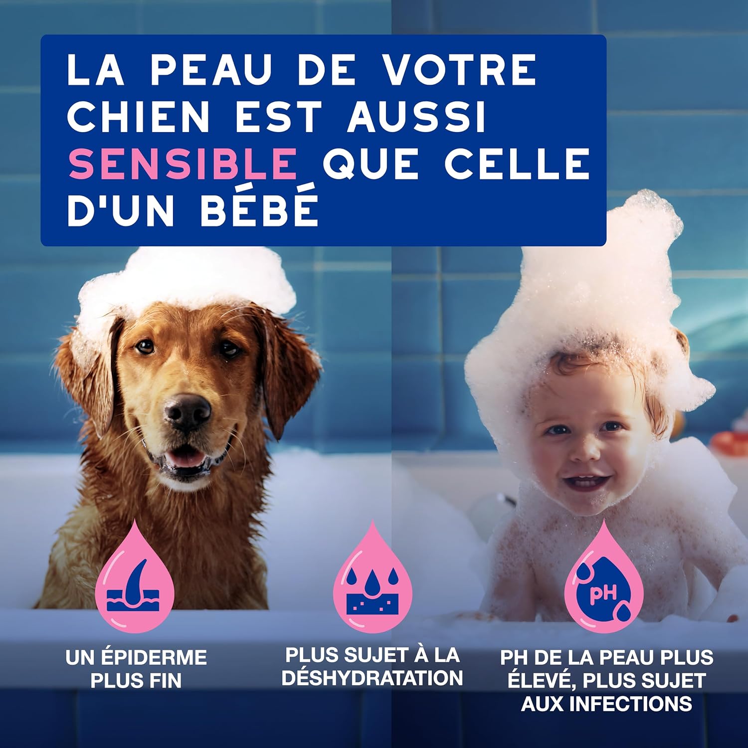 Detalle de Douxo Skin & Coat Spa Shampoing Anti-démangeaisons pour Chien – 250 mL, apaise la peau et laisse le pelage doux