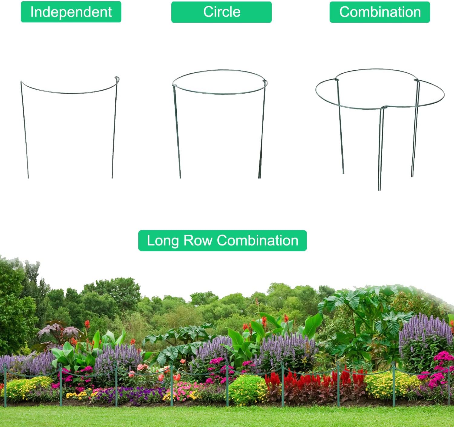 Thumbnail 4 de JIALWEN 6 Pack 20×35cm Plant Support Stakes Ring Cages – Green Metal Garden Plant Supports