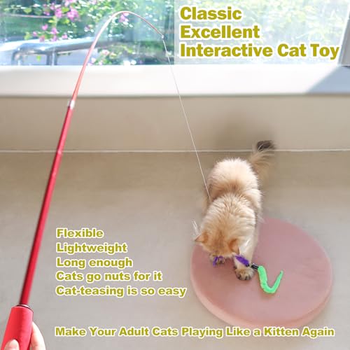 Detalle de MeoHui Cat Toys for Indoor Cats: Interactive Wand Toy Set with 9 Feather Refills (2 Wands + 2 Strings) — A Great Boredom Buster