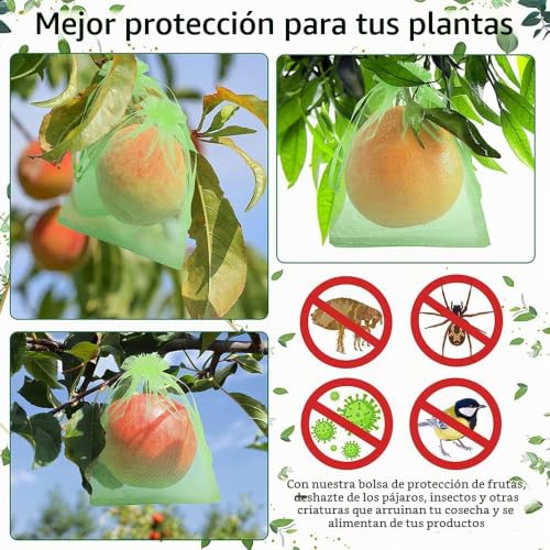 Thumbnail 6 de Bolsas de Protección para Uvas 20 x 30 cm – 100 unidades de RURIZHONGTIAN