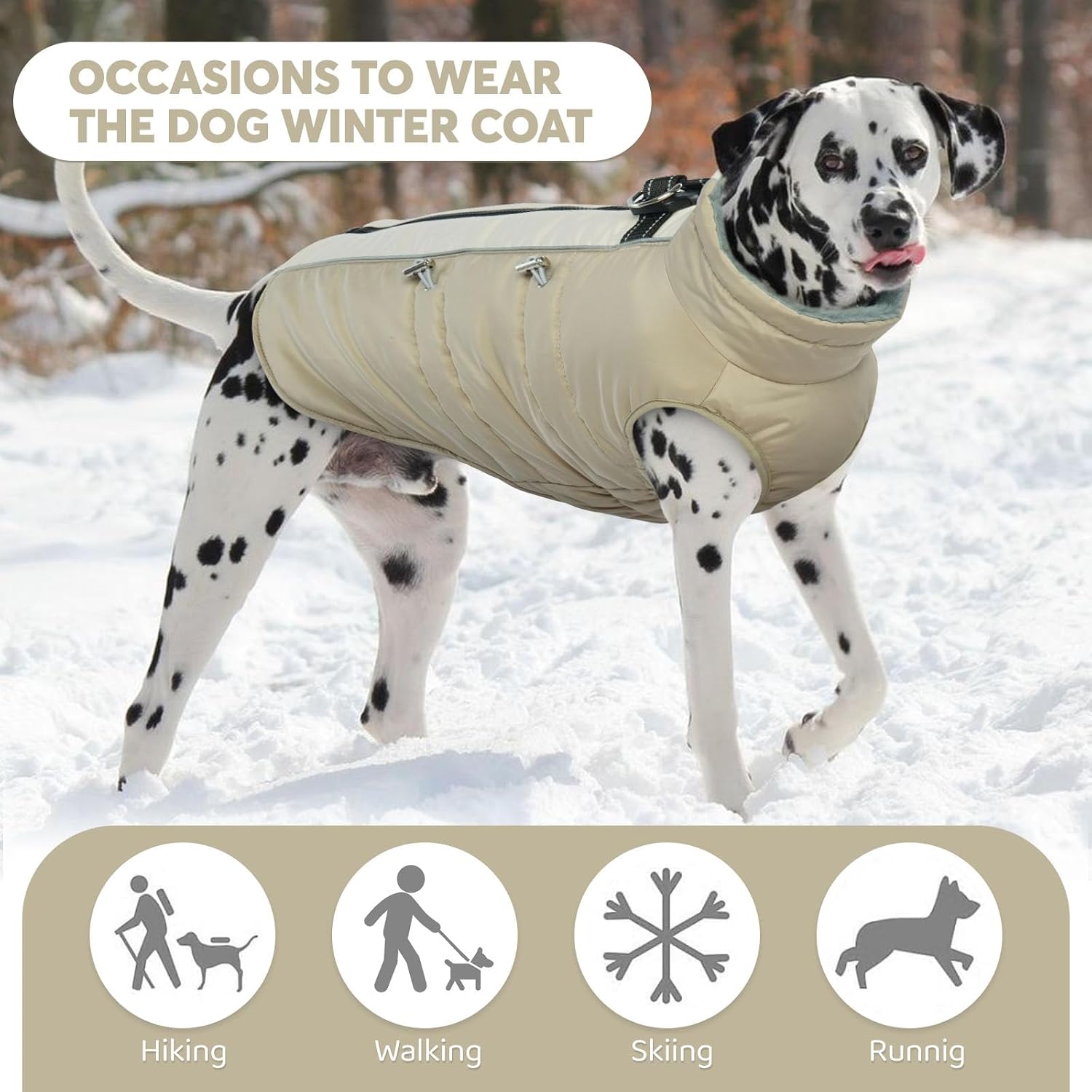 Detalle de IDOMIK Dog Coat, Size M