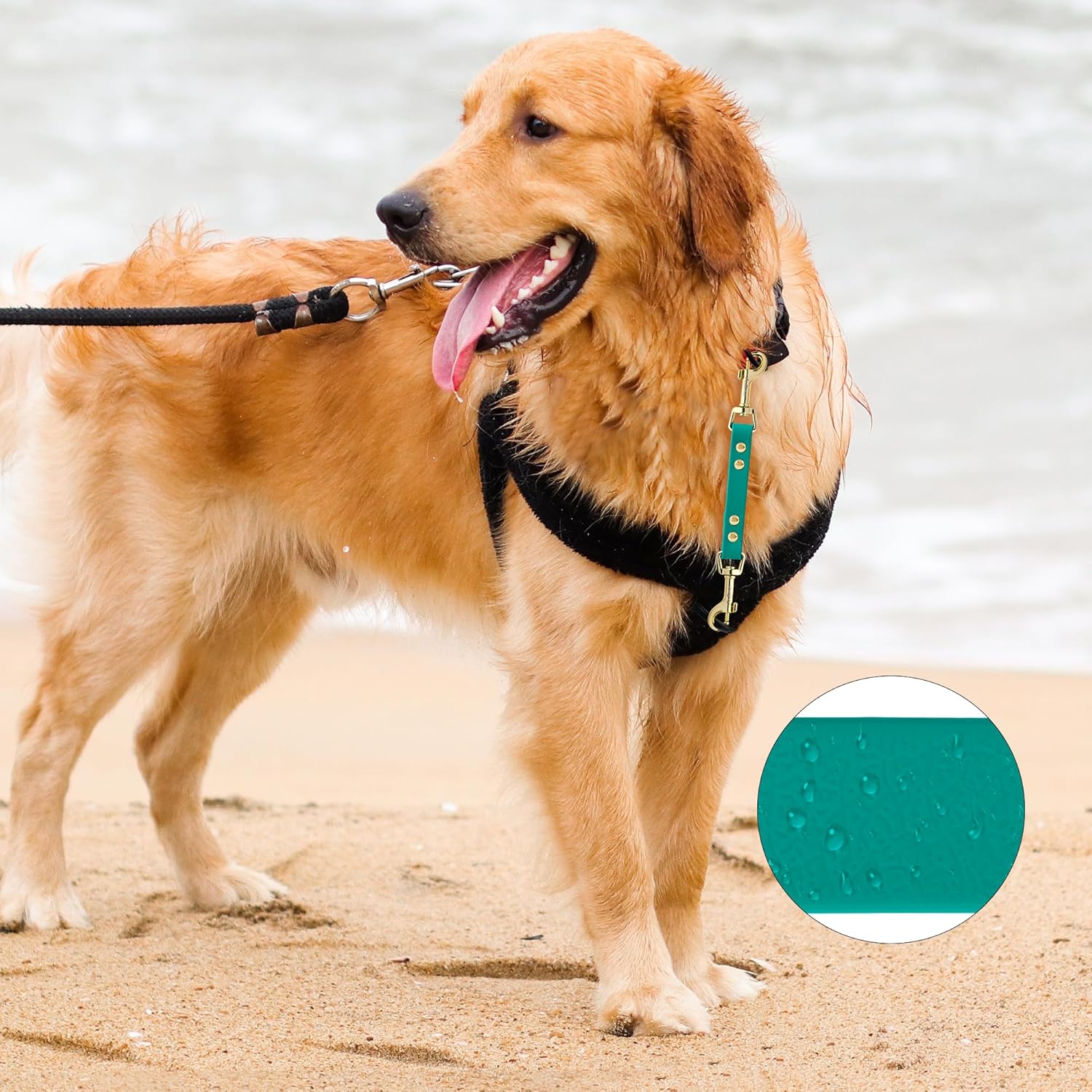 Thumbnail 2 de PetBonus Dog Collar Safety Clip – Waterproof backup safety strap for harness and training leads (Green)