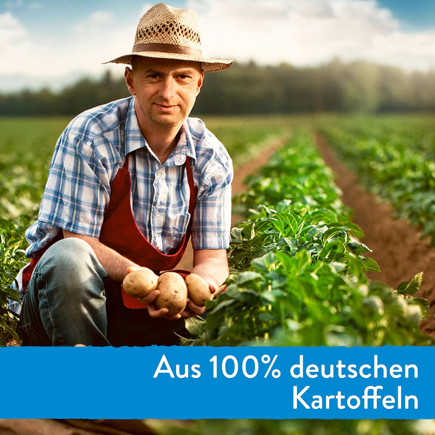 Detalle de Pfanni Kartoffel Püree Das Komplette – Püree mit Milch, 7x 9 Portionen