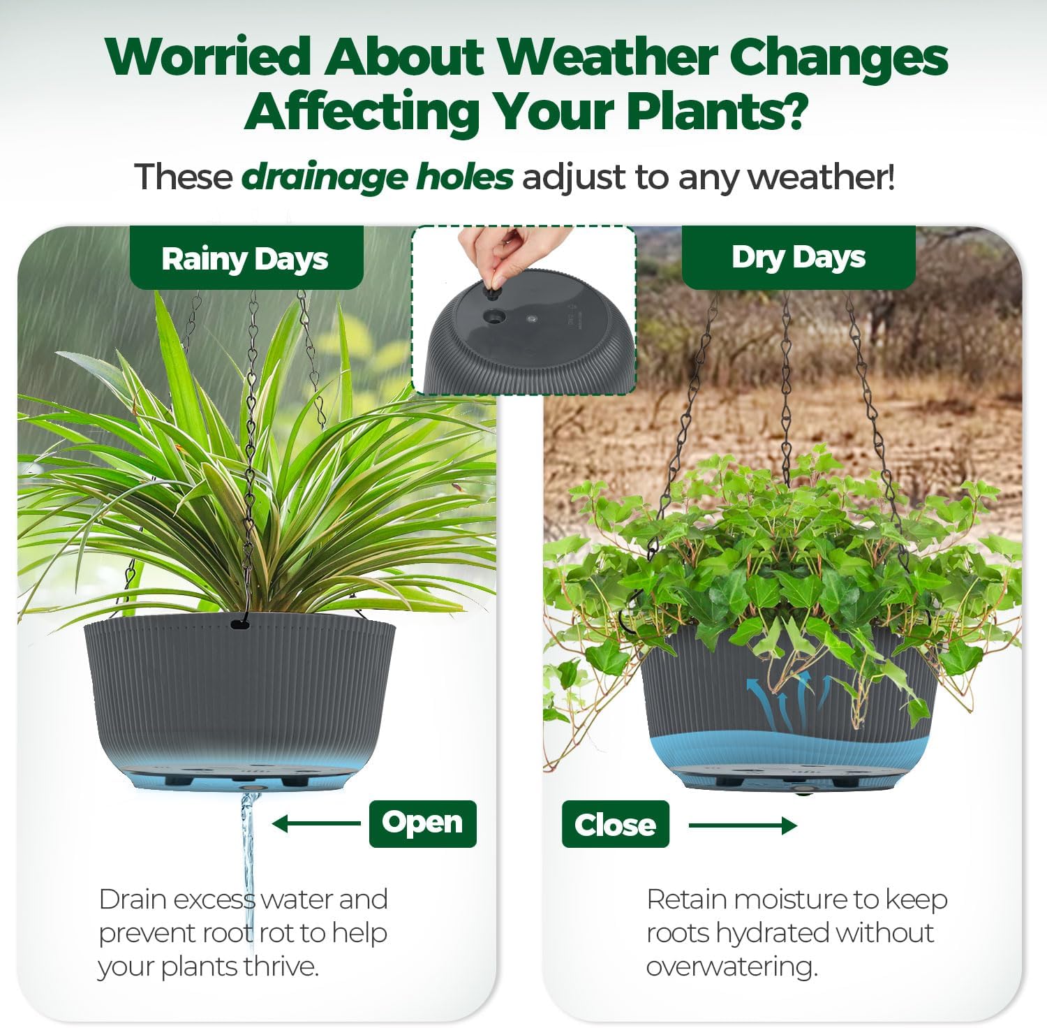 Thumbnail 4 de T4u Maceta Colgante 30 cm para interior