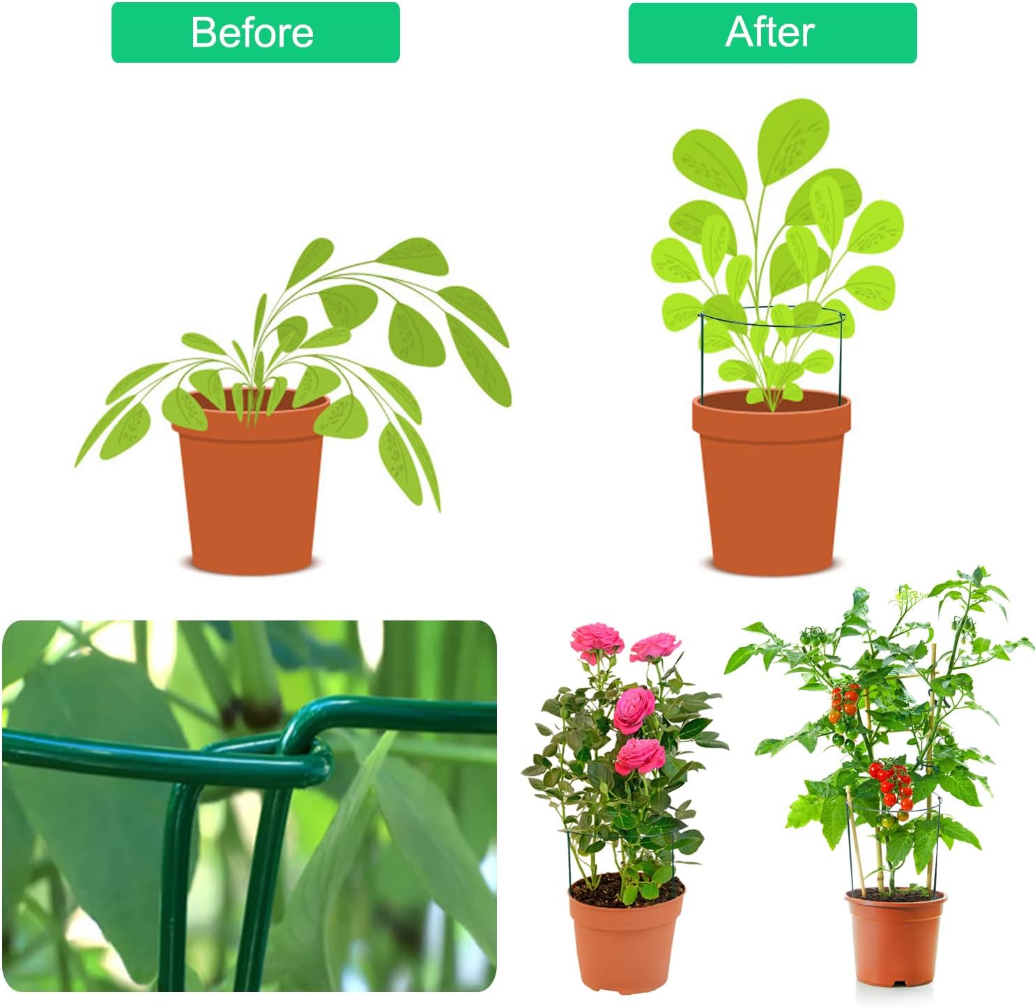 Thumbnail 2 de JIALWEN 6 Pack 20×35cm Plant Support Stakes Ring Cages – Green Metal Garden Plant Supports
