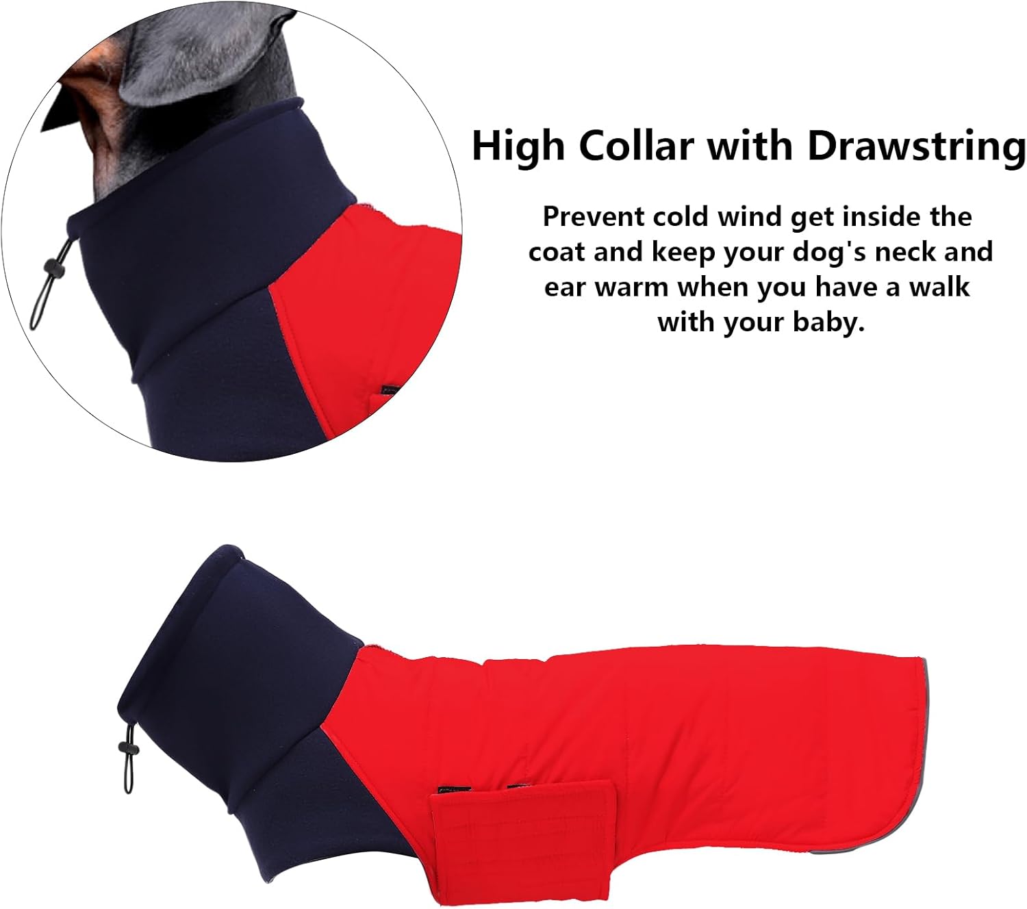 Thumbnail 6 de Morezi Dachshund sausage jacket dog coat (reversible) in Red, padded cotton lining, high collar – size XS