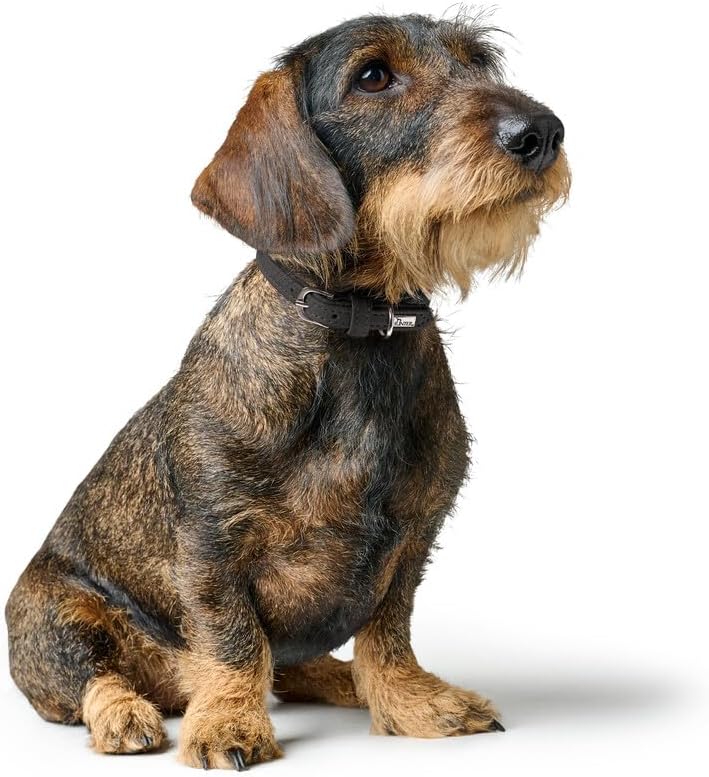 Thumbnail 5 de Hunter Hundehalsband SOHO MINI (21) aus Rindsleder, schwarz – extra leicht für kleine Hunde & Welpen