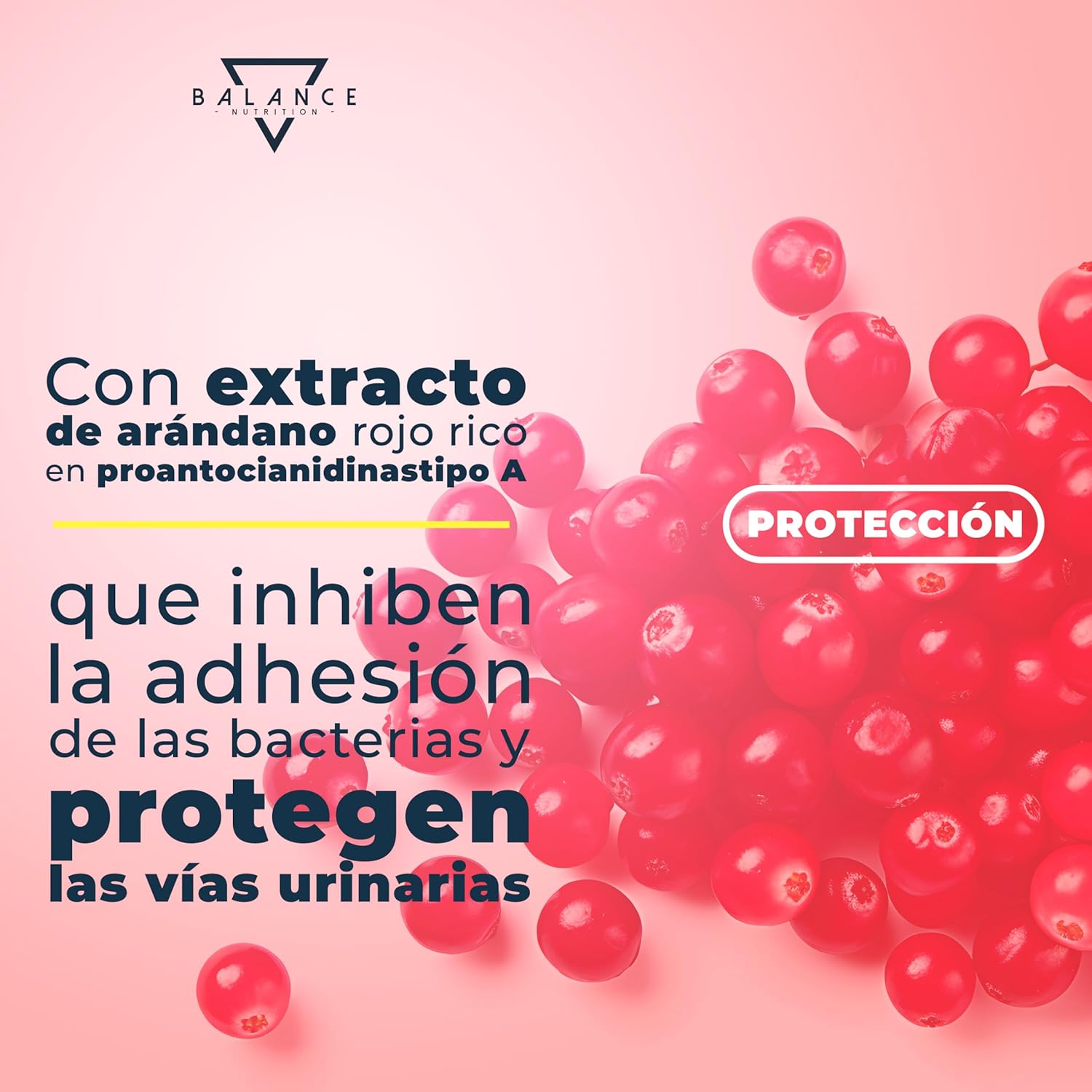 Thumbnail 5 de Probioticos Mujer 200 cps Flora Intima