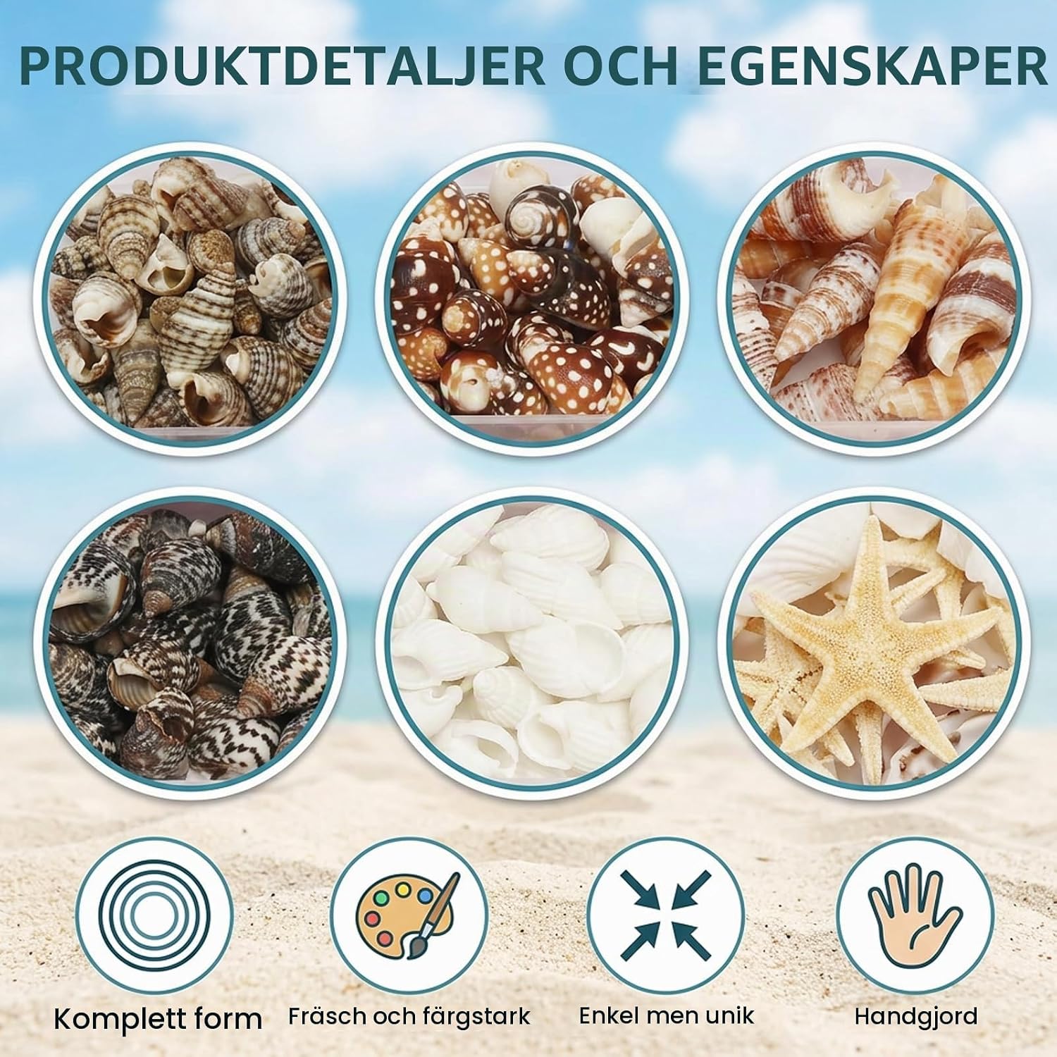 Detalle 1 de HJ-HSH-DE-BK snäckskal för pyssel, cirka 525 delar i 12 stilar