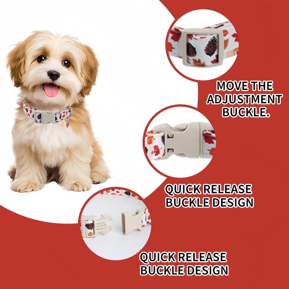 Thumbnail 2 de MAJIAYU Adjustable Dog Collar, Size M