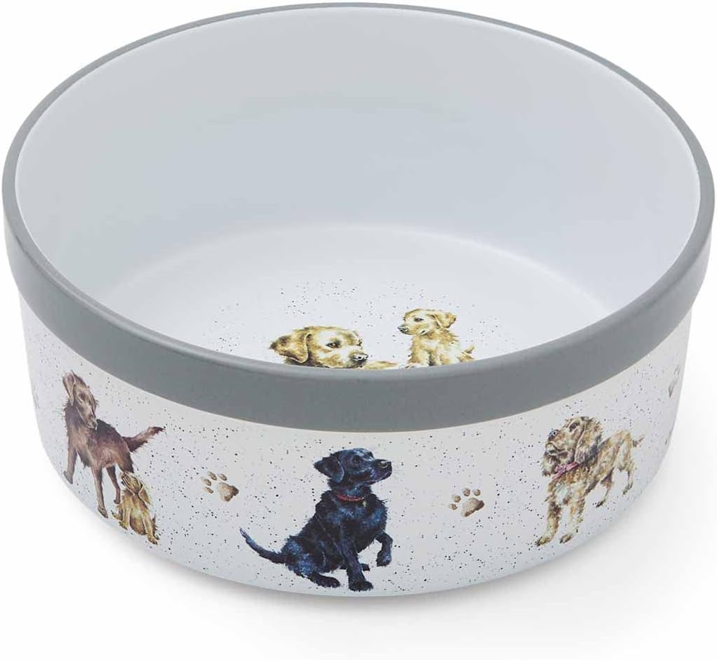Detalle de Pet Bowl 8" – Wrendale Designs & Royal Worcester Fine Bone China, 20cm (8in)