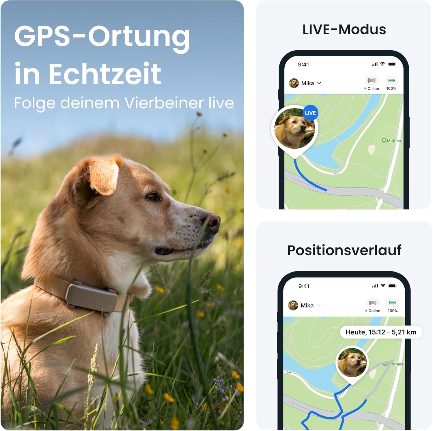 Detalle 2 de Tractive 2025 Edition GPS Tracker Hund