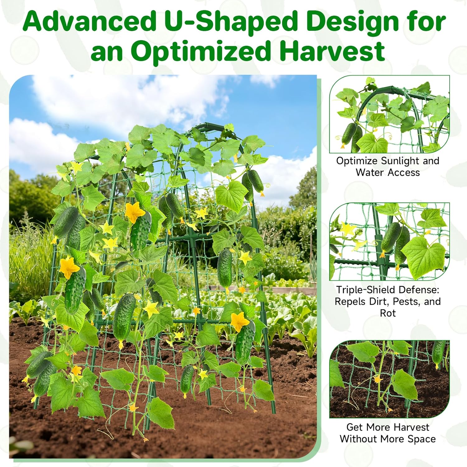 Thumbnail 1 de Cucumber Trellis 80 x 120 cm U-shape