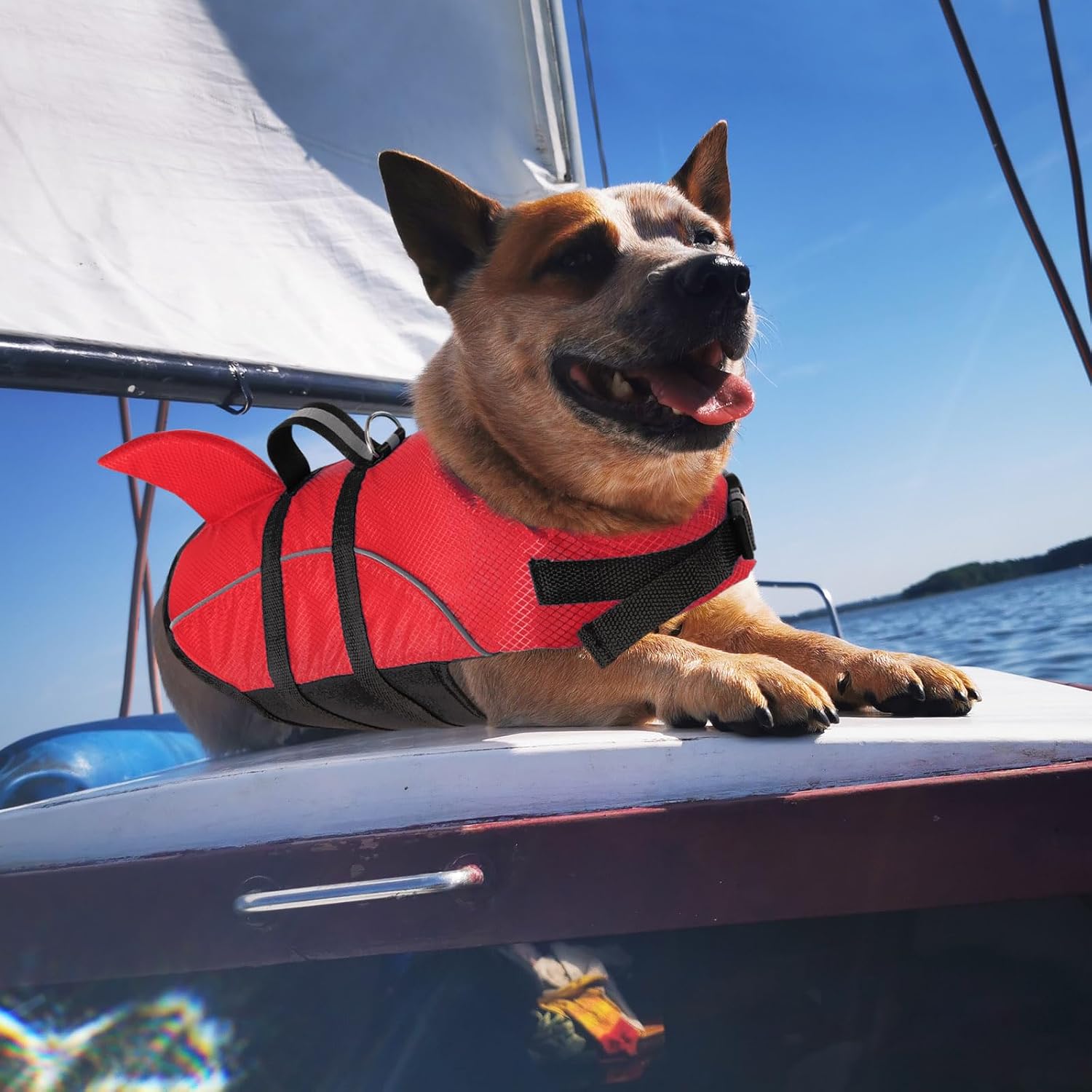 Detalle 2 de Queenmore Small Dog Life Jacket: Shark-Style Buoyancy for Safe Water Fun
