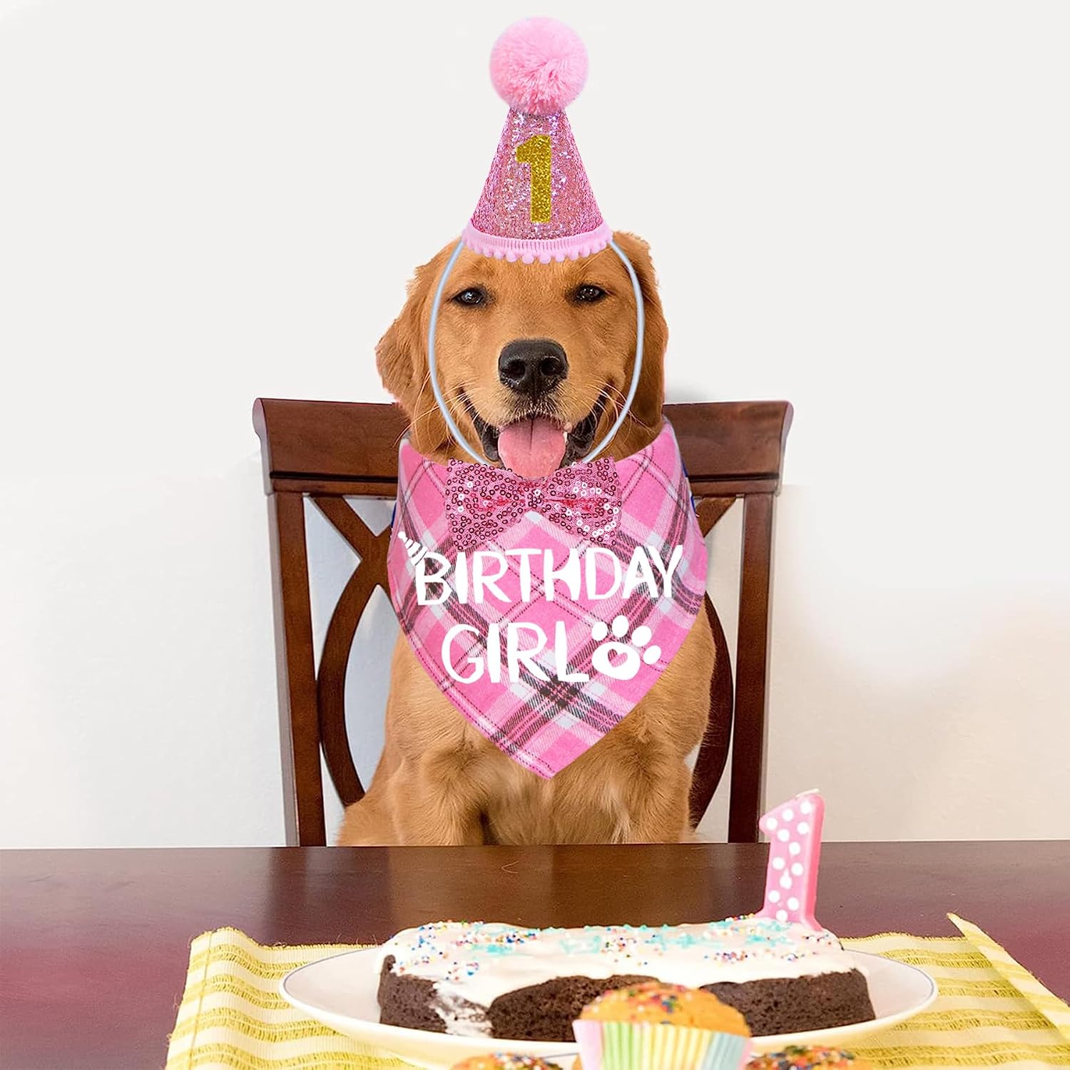 Thumbnail 6 de STMK Dog Birthday Outfit Set, Large