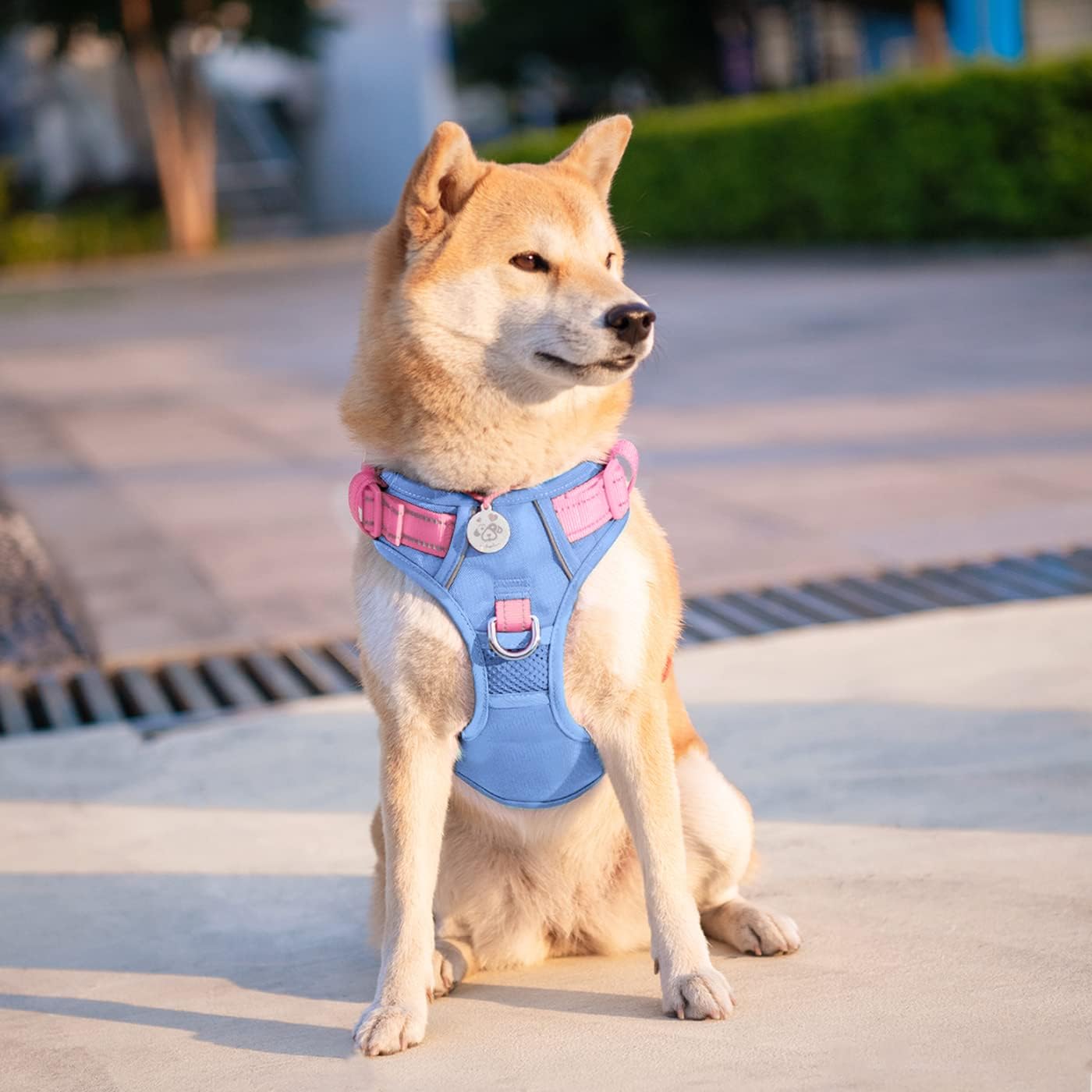 Thumbnail 6 de PHOEPET No Pull Escape Proof Dog Harness with Front & Back Leashes and Quick-Release Buckles