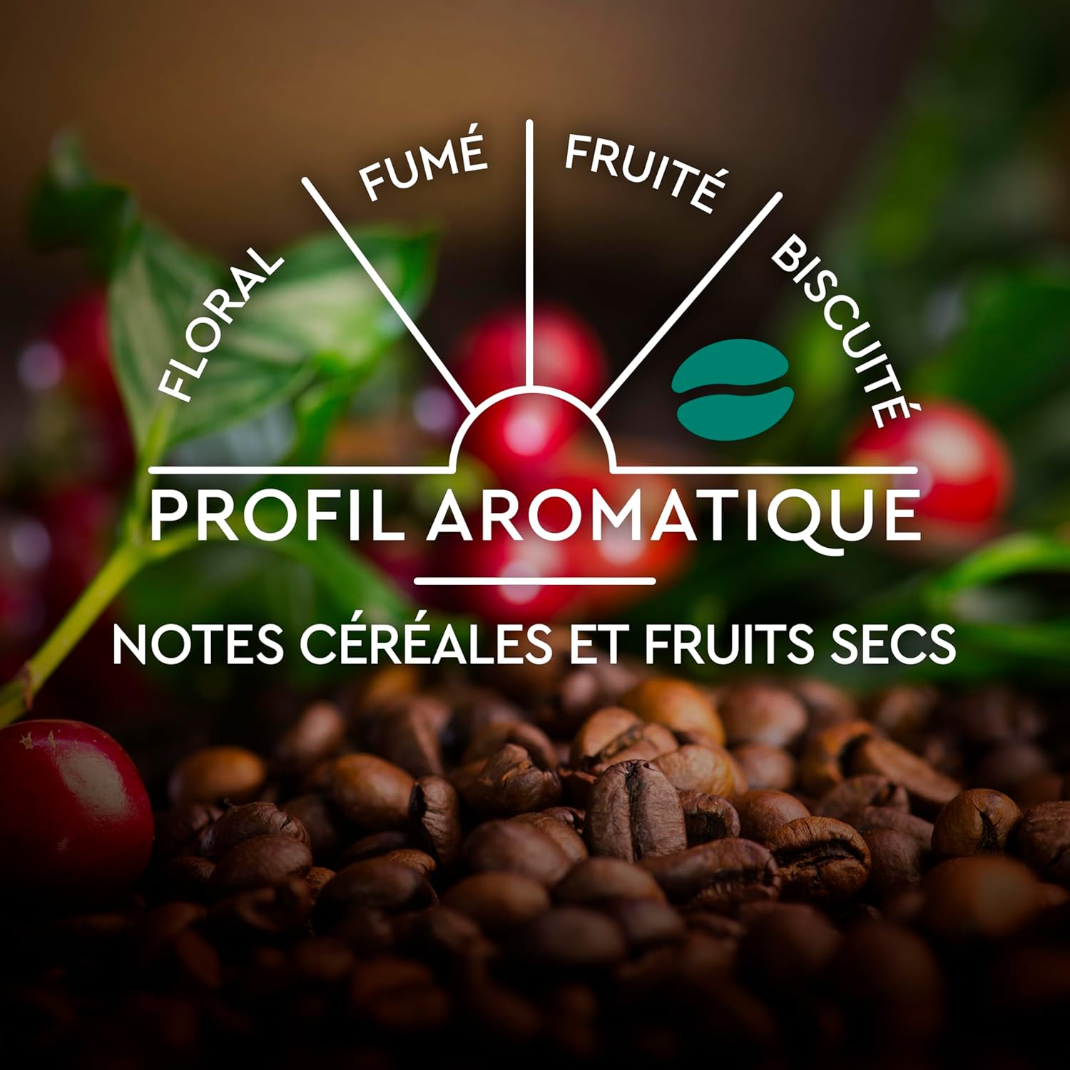 Thumbnail 5 de CARTE NOIRE Capsules demi‑café 240