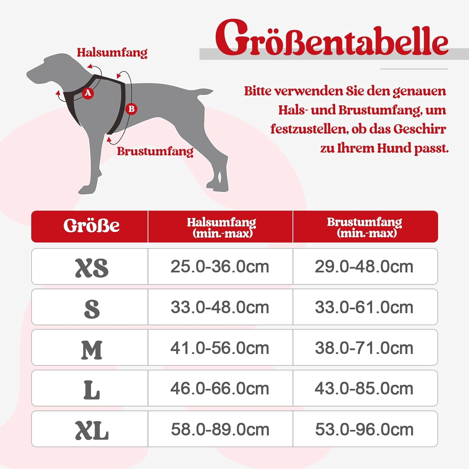 Detalle 2 de Rabbitgoo Hundegeschirr XS – Anti Zug, verstellbar & atmungsaktiv für Kleine Hunde