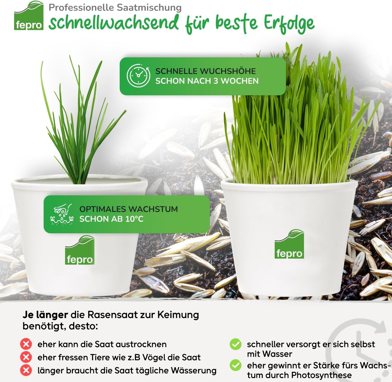 Thumbnail 4 de 10 kg Rasensamen trocken- & dürreresistent für Trockenrasen und Schattenrasen – schnellkeimend, für Neu- und Nachsaat (bis 400 m²)